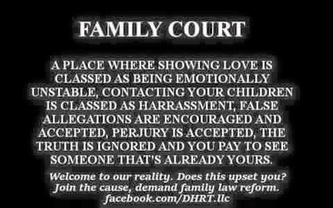 Dysfunctional Family Courts 1 - 2015